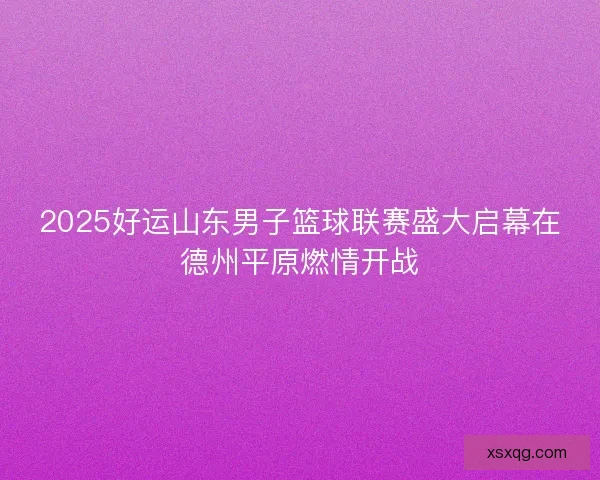 2025好运山东男子篮球联赛盛大启幕在德州平原燃情开战 2025好运山东男子篮球联赛盛大启幕在德州平原燃情开战