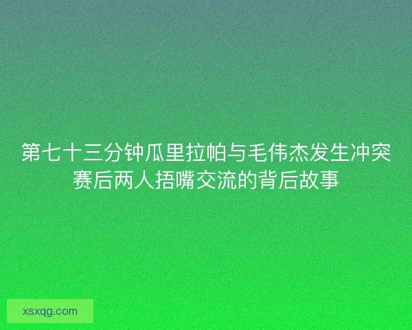 第七十三分钟瓜里拉帕与毛伟杰发生冲突赛后两人捂嘴交流的背后故事